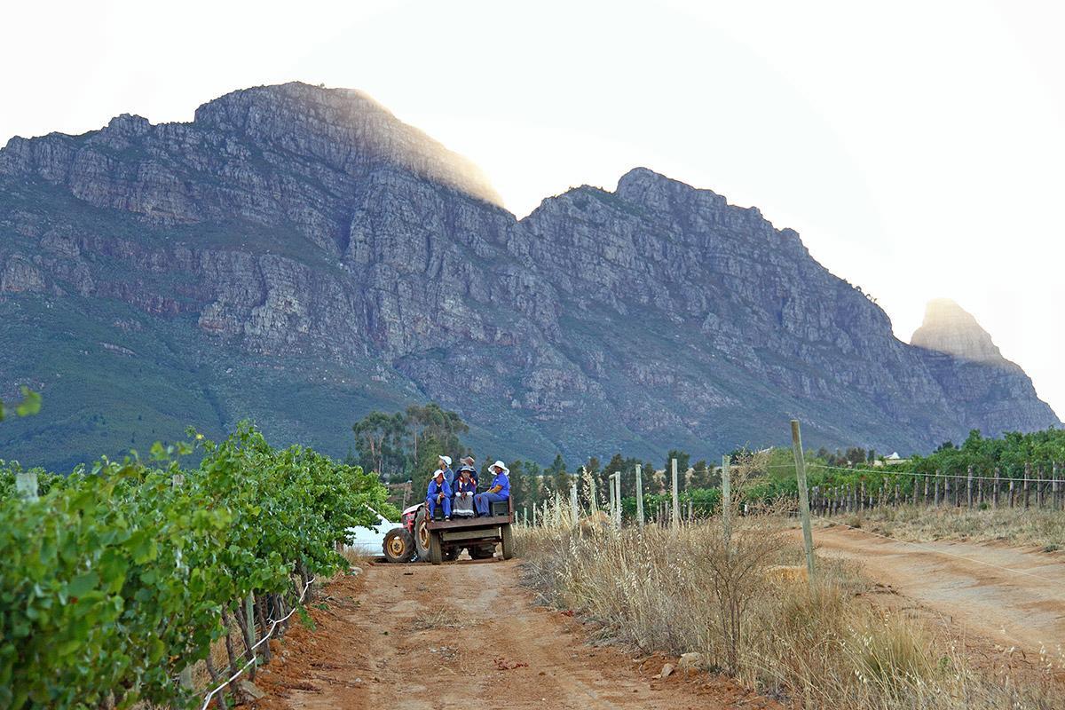 Muratie Wine Estate Stellenbosch Exterior foto